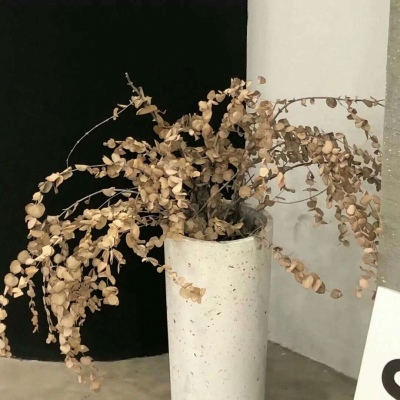 Furry插画素材分享福瑞交流群